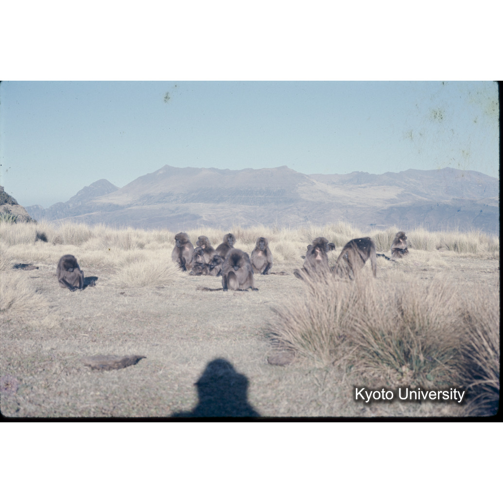 Sm　1973　1341 (1)