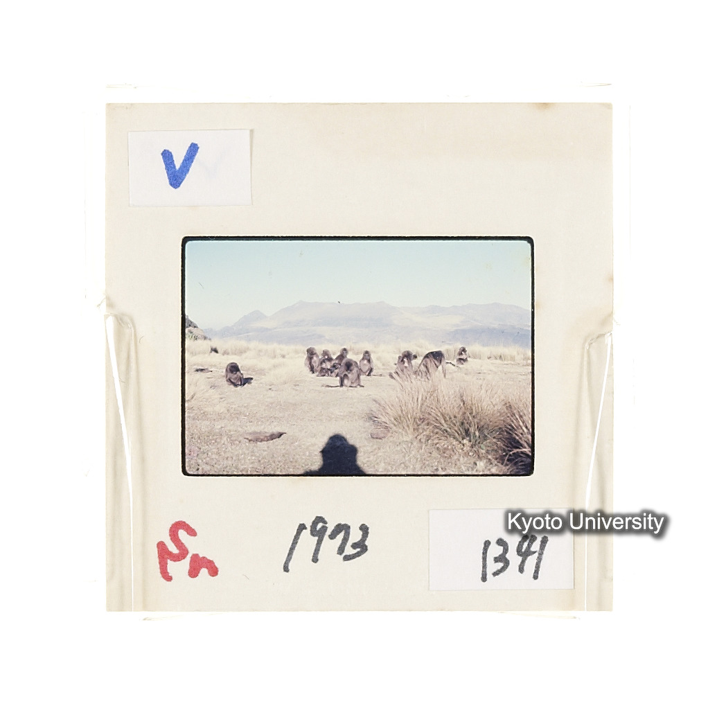 Sm　1973　1341 (2)