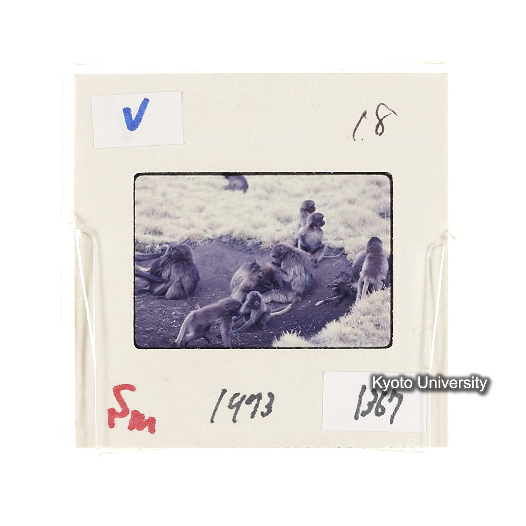 Sm　1973　1367 (2)