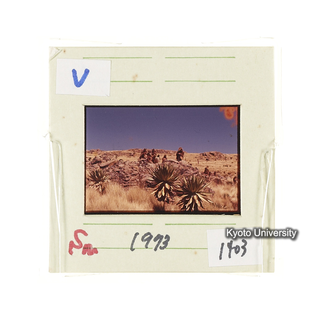 Sm　1973　1403 (2)