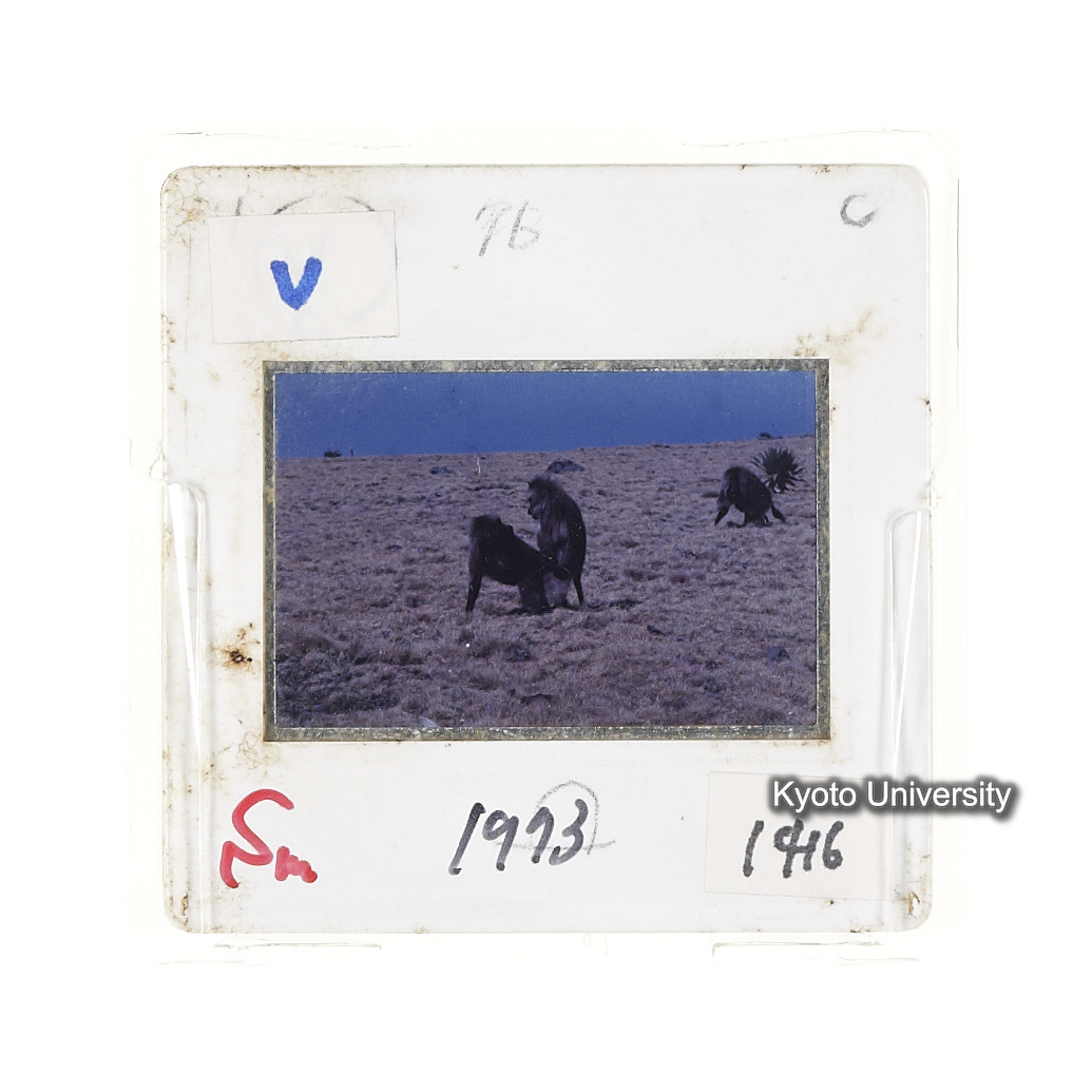 Sm　1973　1416 (2)