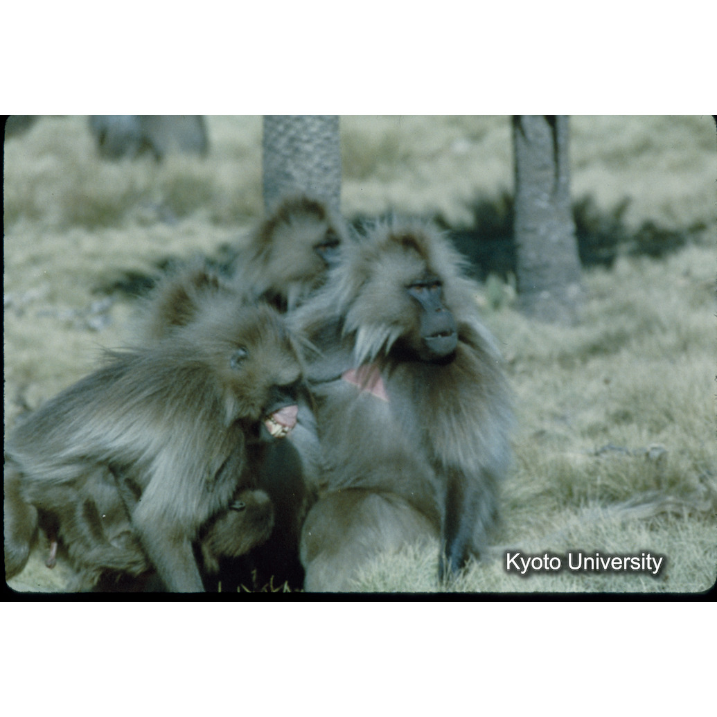 Sm　1973　2　（N）[赤色, 丸囲み] (1)