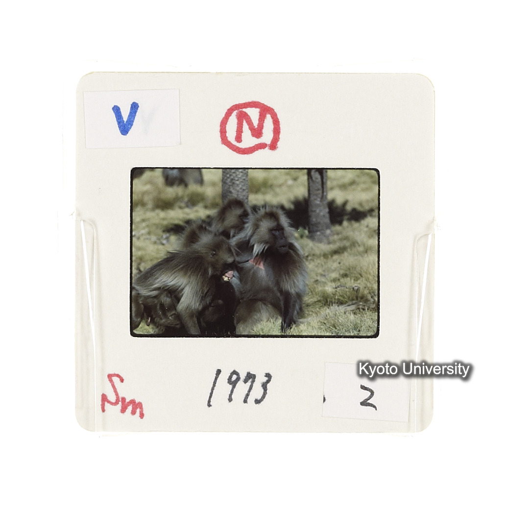 Sm　1973　2　（N）[赤色, 丸囲み] (2)