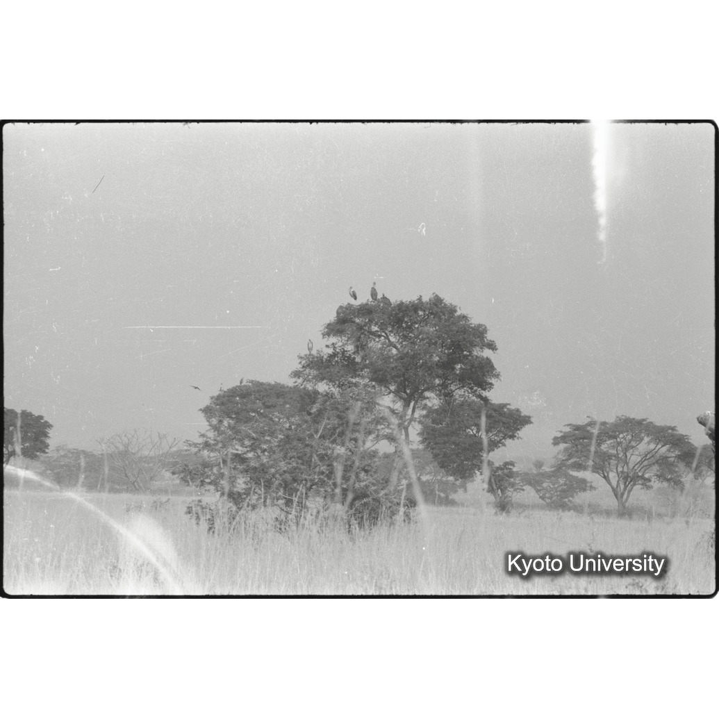 [１コマ目]「×」 (1)