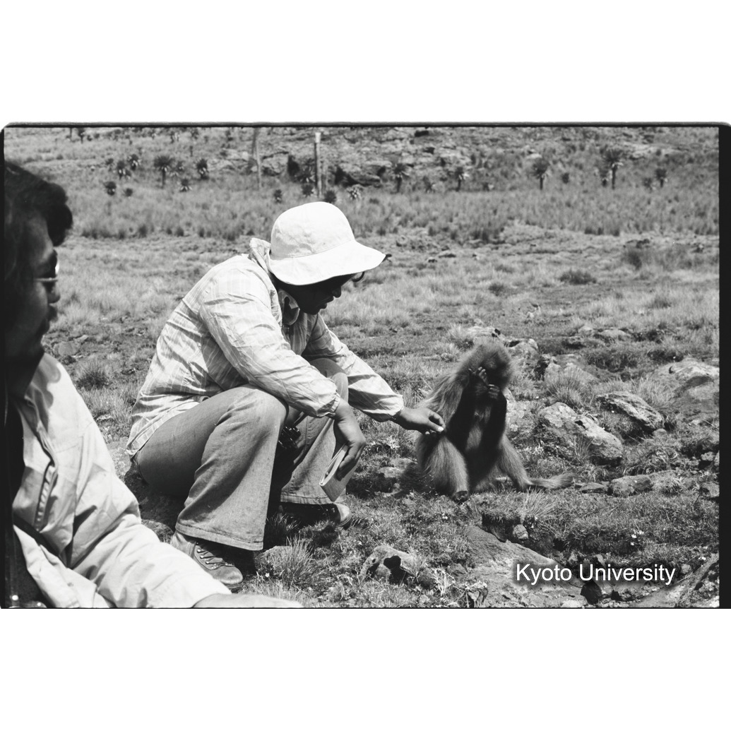 [１４コマ目]「森梅代とエテグ（５）」 (1)