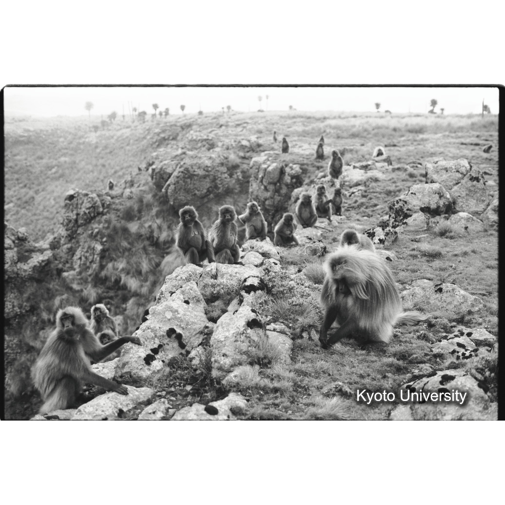 [２０コマ目]「コドモグループ（１１）」 (1)