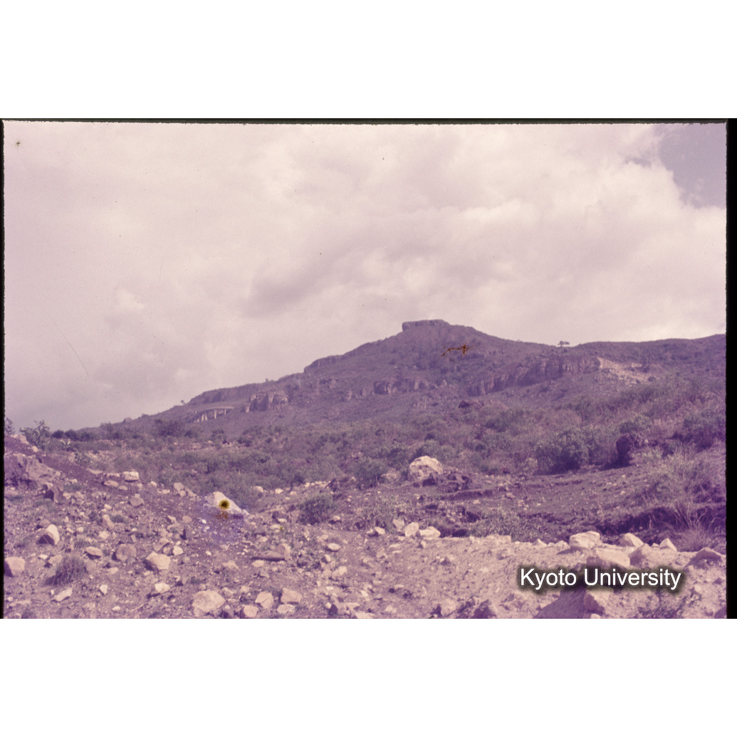 Sm　1973　1076 (1)