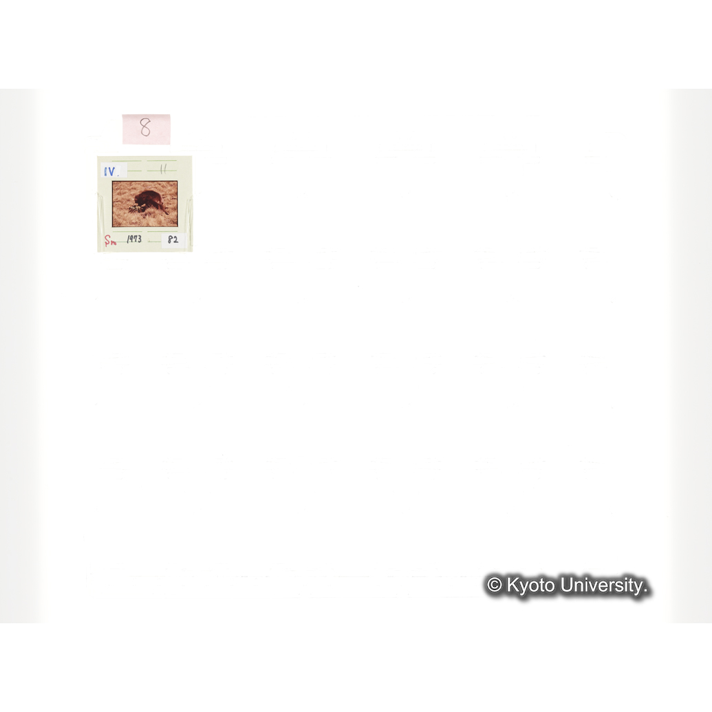 [スライドシート] 8 (1)