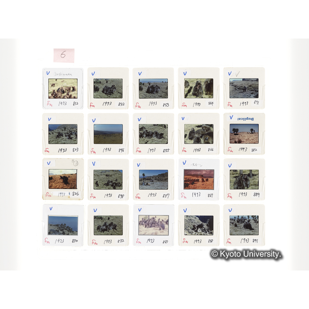 [スライドシート] 6 (1)