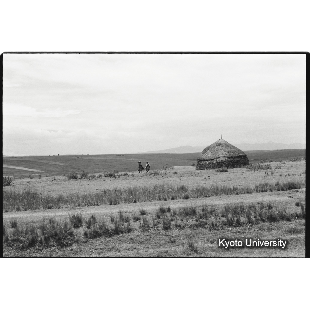 [６コマ目]「シダモ族の農家（４）」 (1)