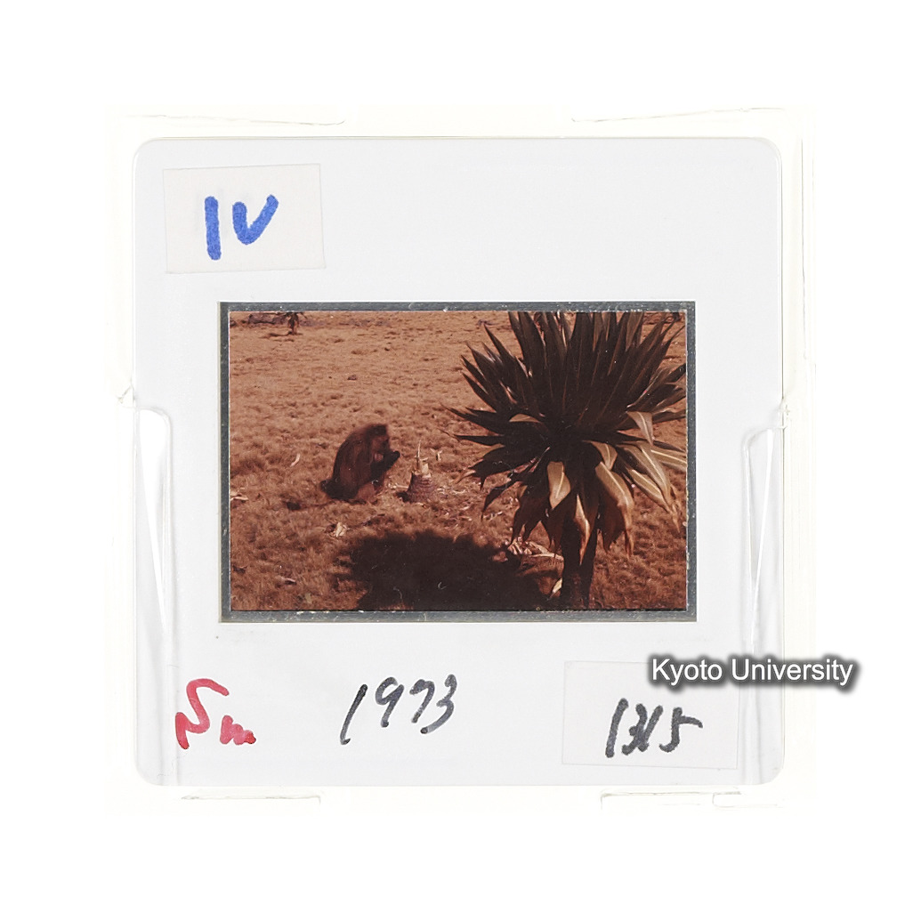 Sm　1973　1315 (2)