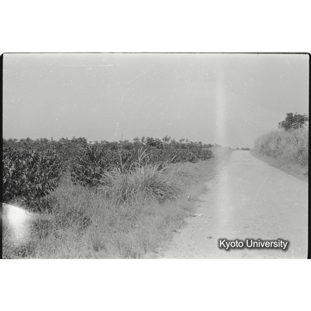 [13コマ目]「×」 (1)