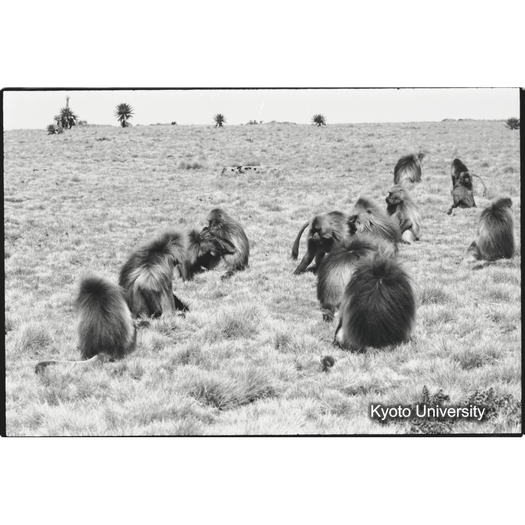 [３６コマ目]「休息」 (1)