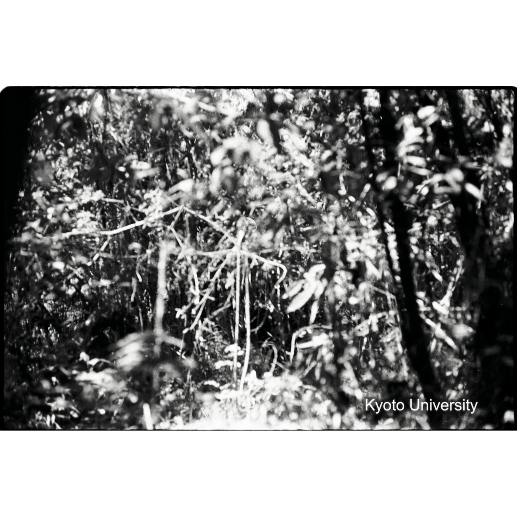 [30コマ目]「×」 (1)