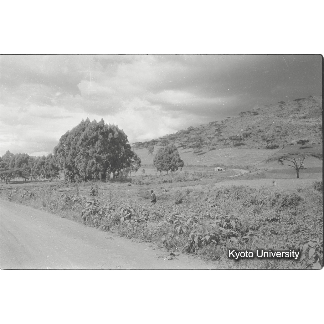 [9コマ目]「沿線の風景」 (1)