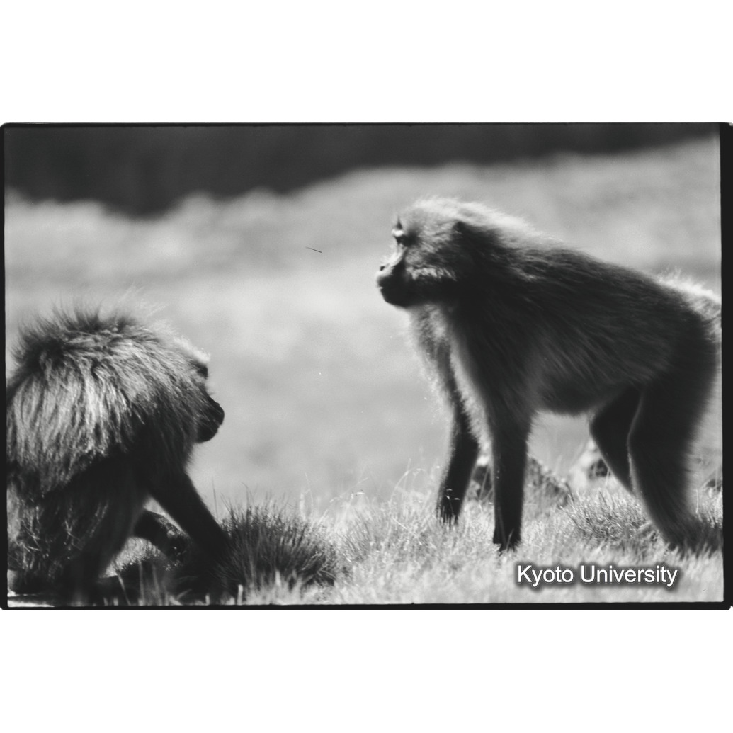 [２９コマ目]「×」 (1)