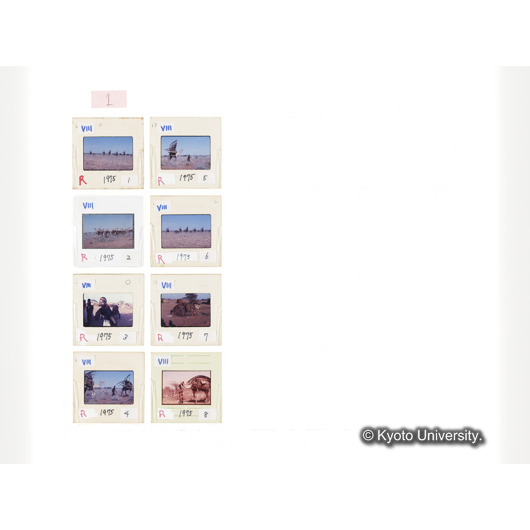 [スライドシート] 1 (1)