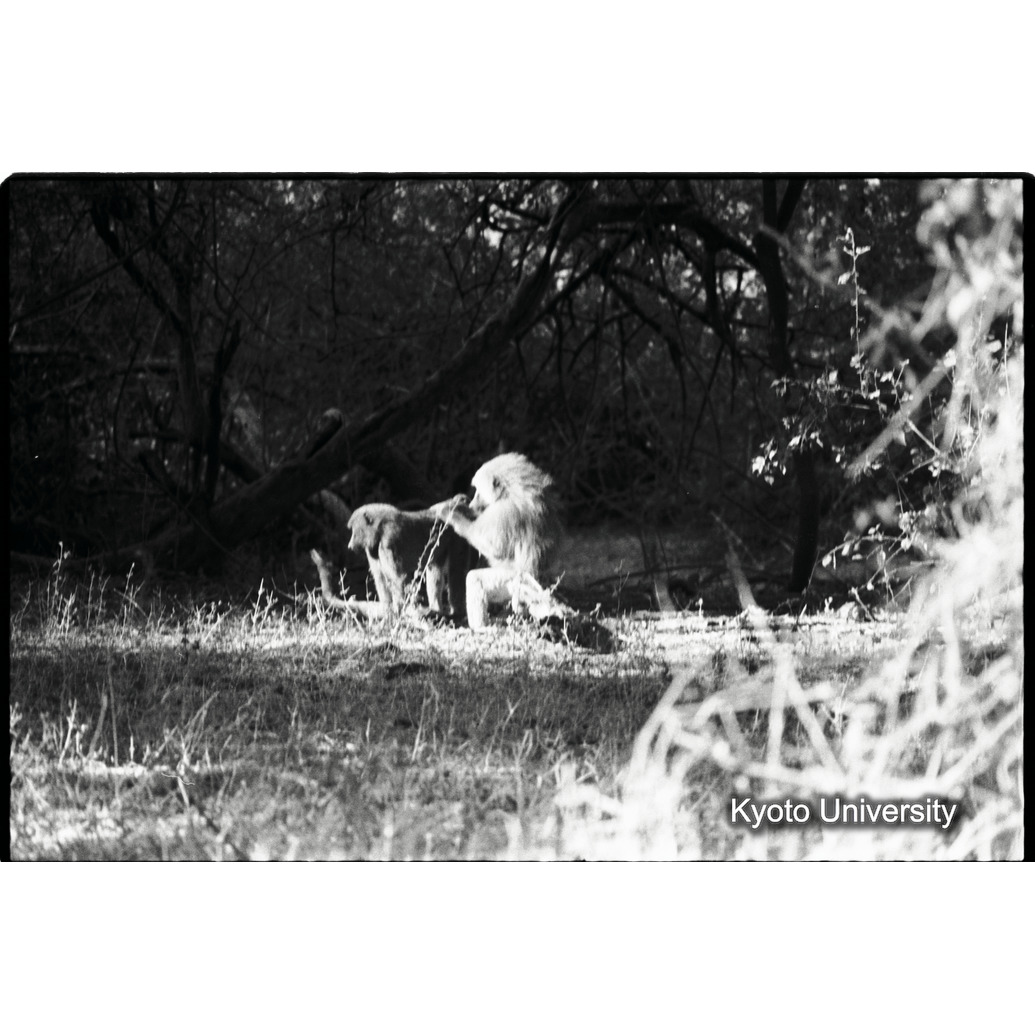 [２７コマ目]「×」 (1)