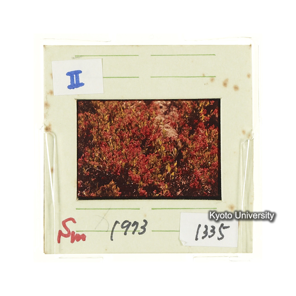 Sm　1973　1335 (2)