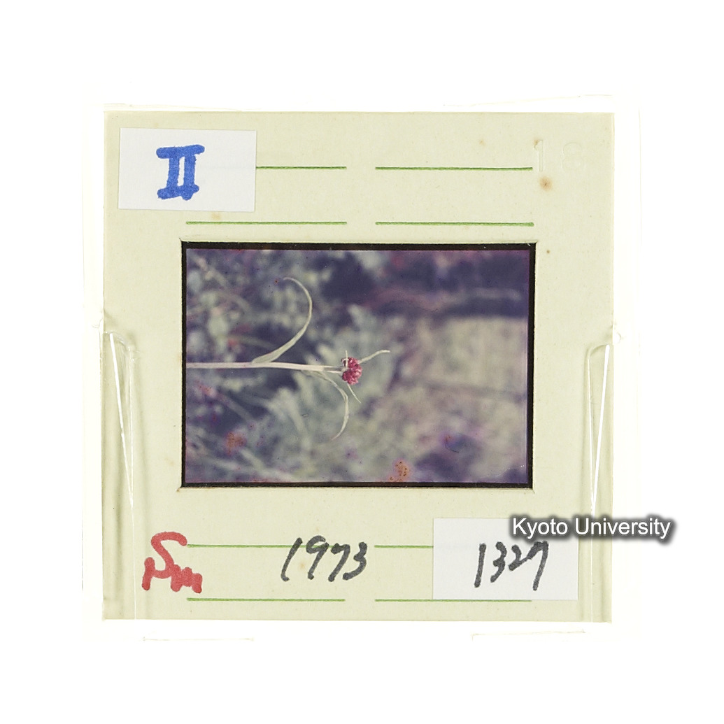 Sm　1973　1327 (2)