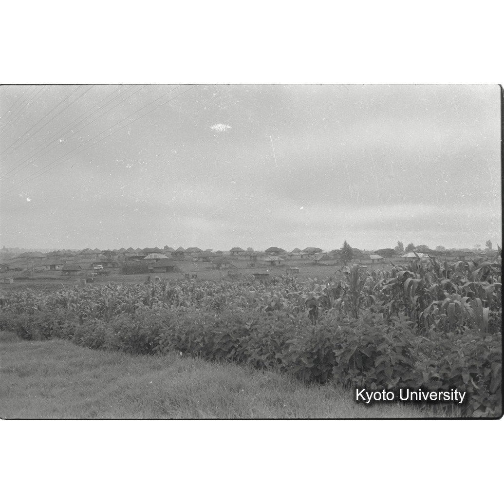 [25コマ目]「風景」 (1)