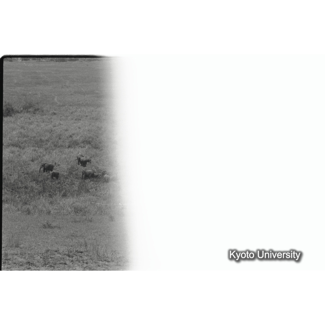 [32コマ目]「×」 (1)