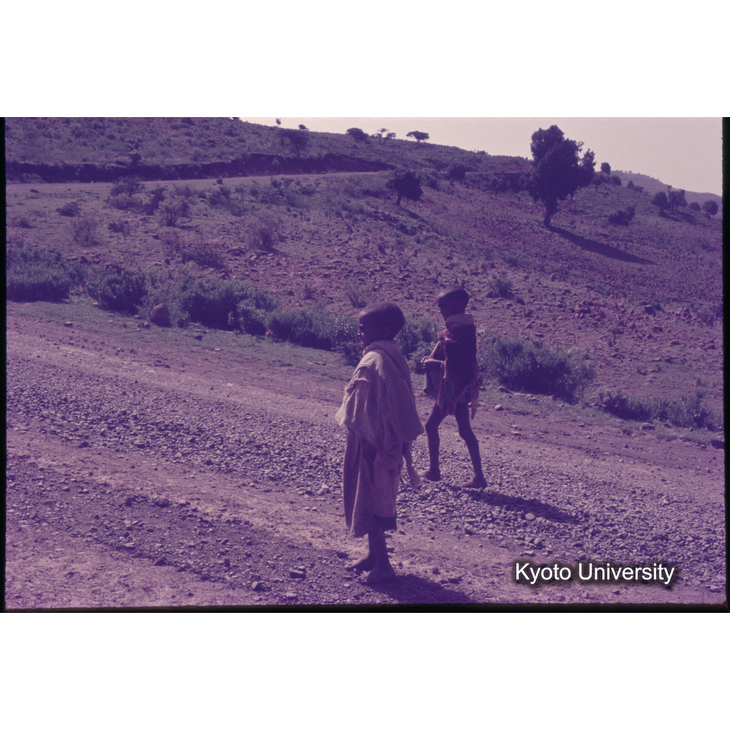 Sm　1973　1198 (1)