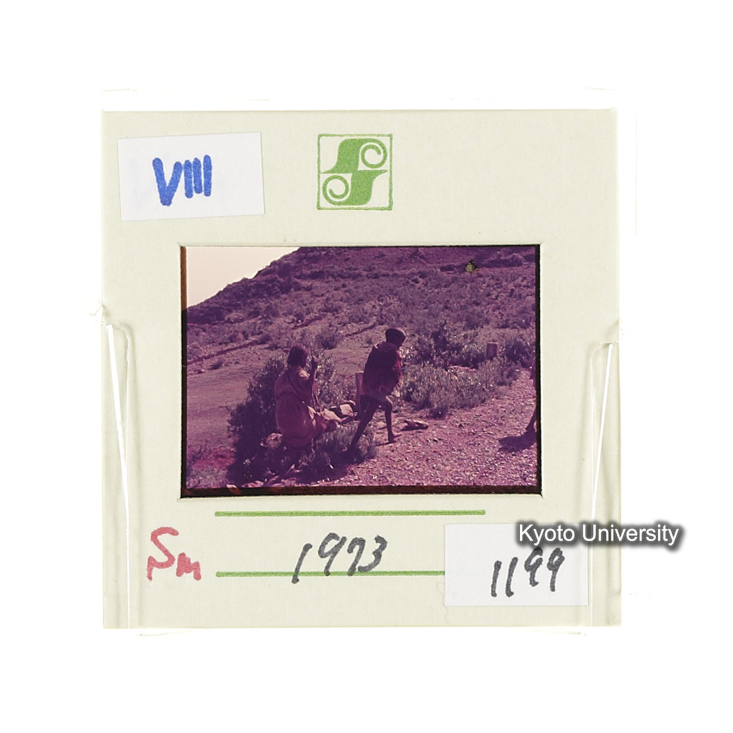 Sm　1973　1199 (2)