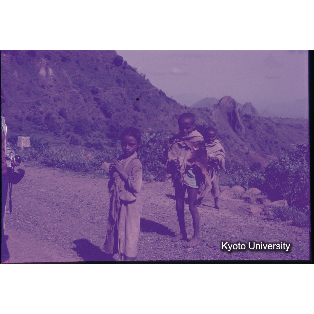 Sm　1973　1200 (1)