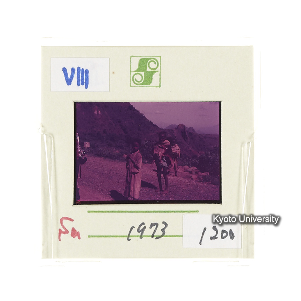 Sm　1973　1200 (2)