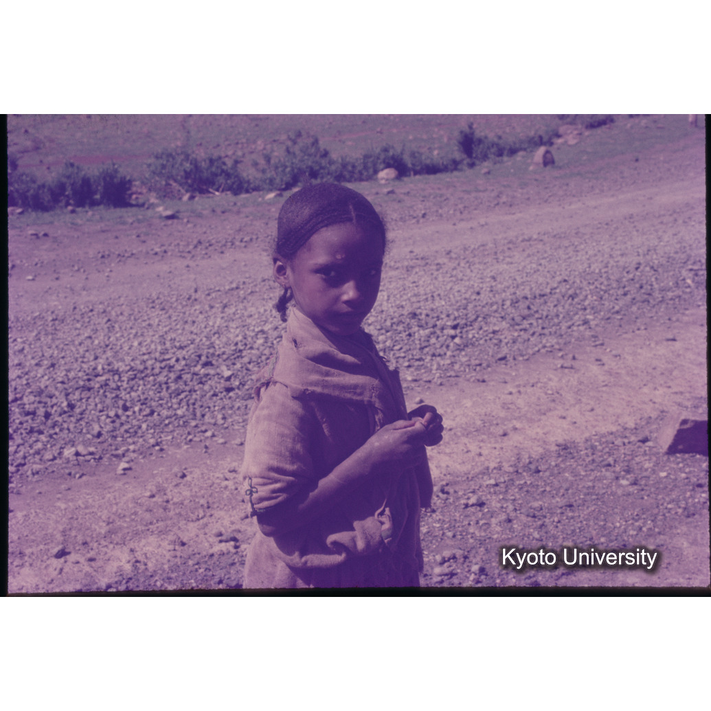 Sm　1973　1201 (1)