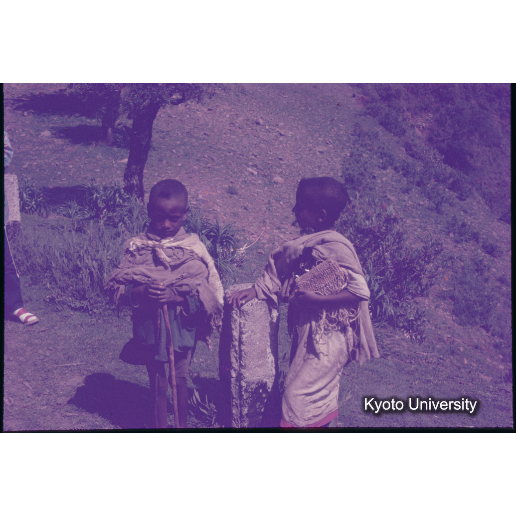 Sm　1973　1460 (1)