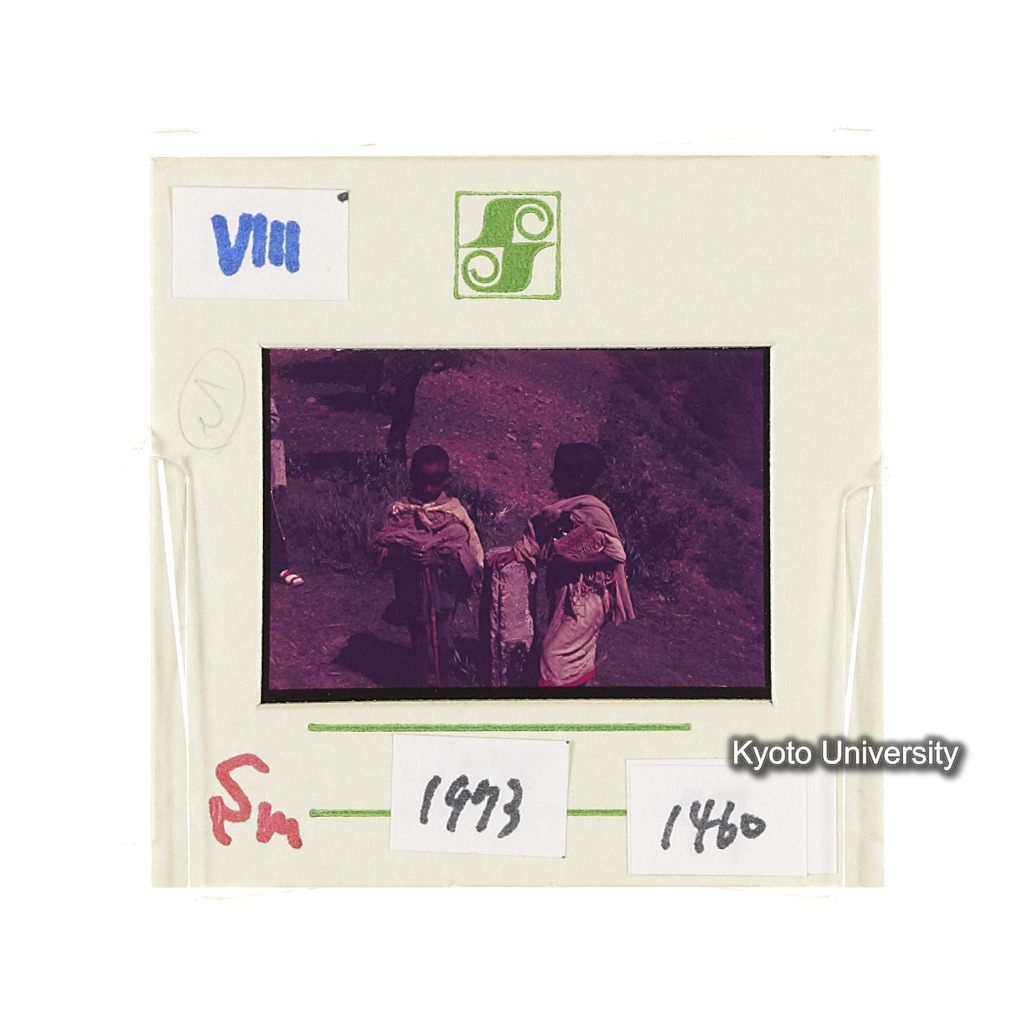 Sm　1973　1460 (2)