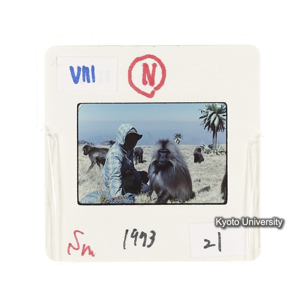 Sm　1973　21　（N）[赤色, 丸囲み] (2)