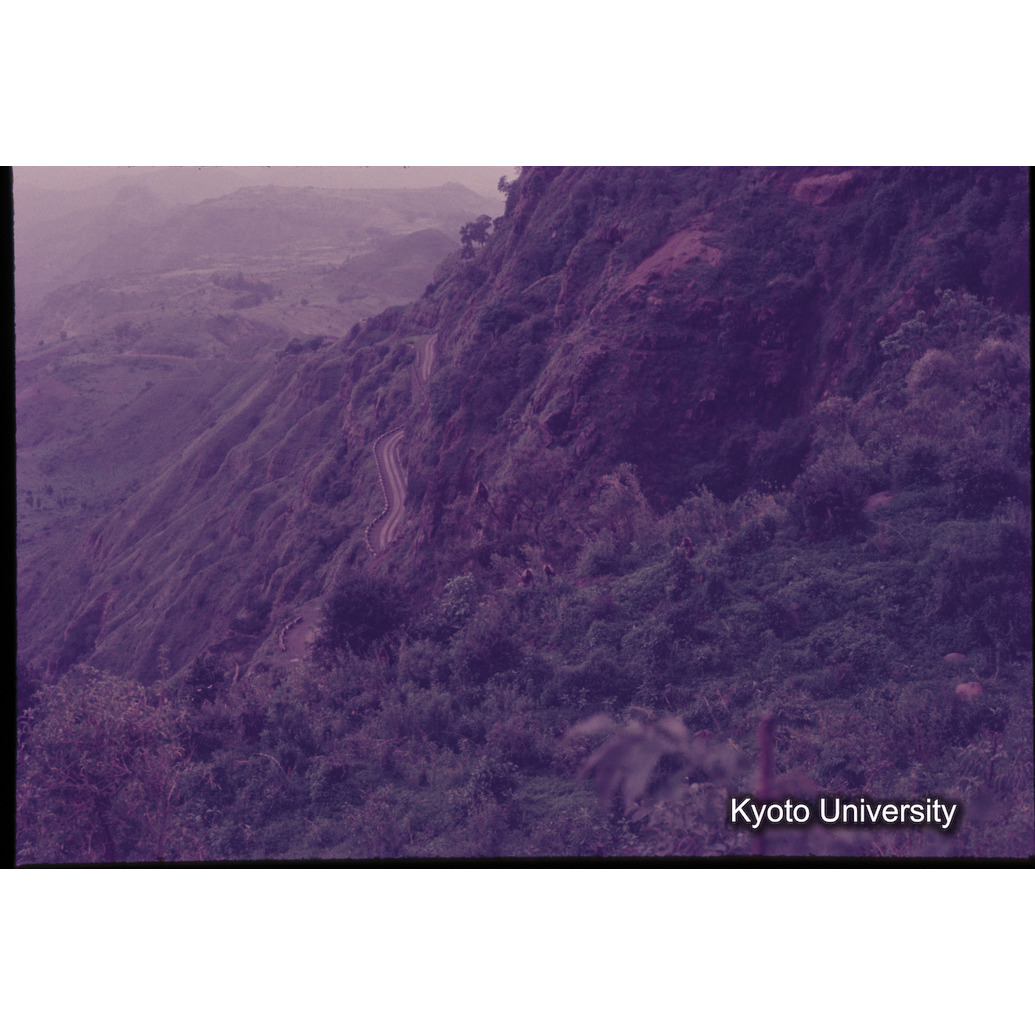 Sm　1973　1101 (1)