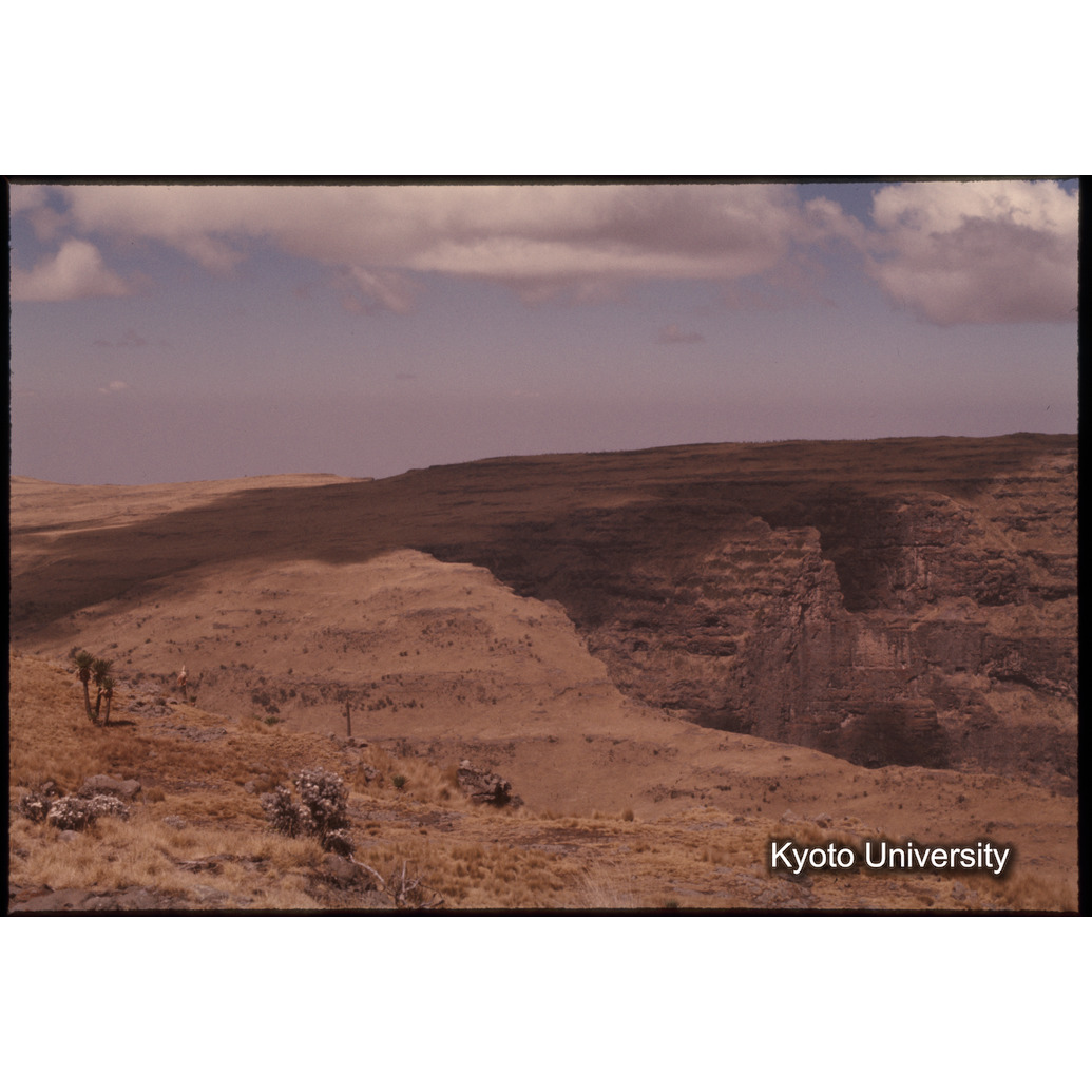 Sm　1973　1106 (1)