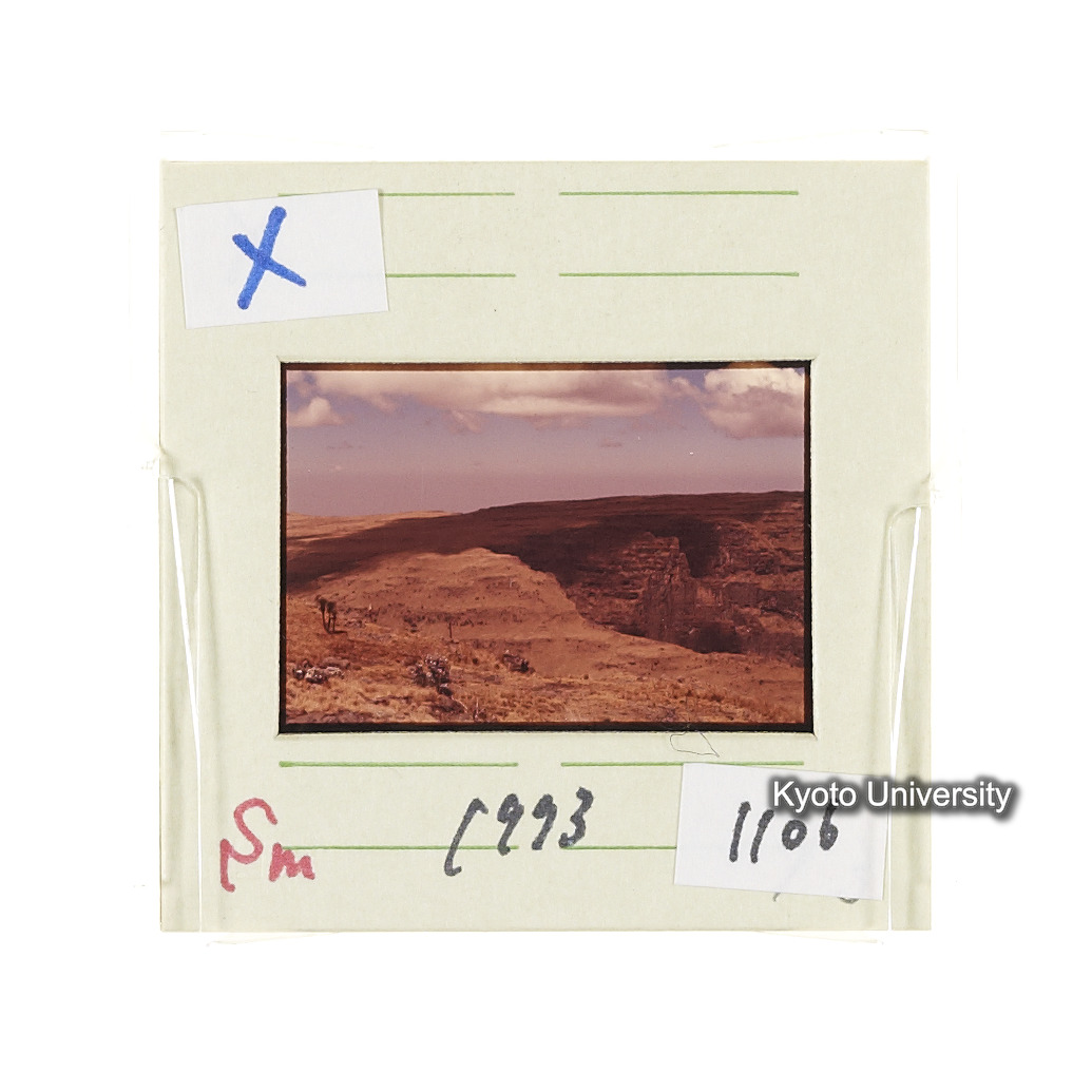 Sm　1973　1106 (2)