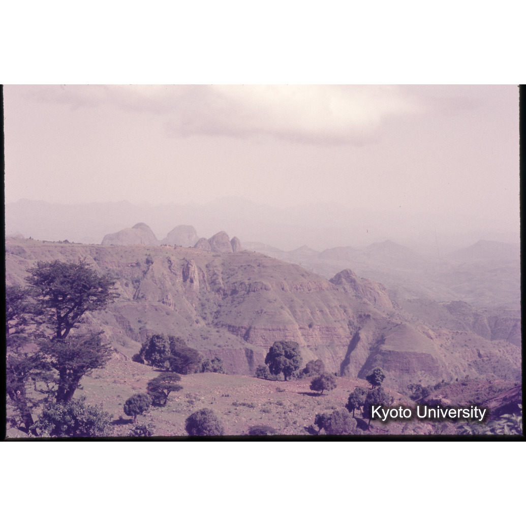 Sm　1973　1107 (1)