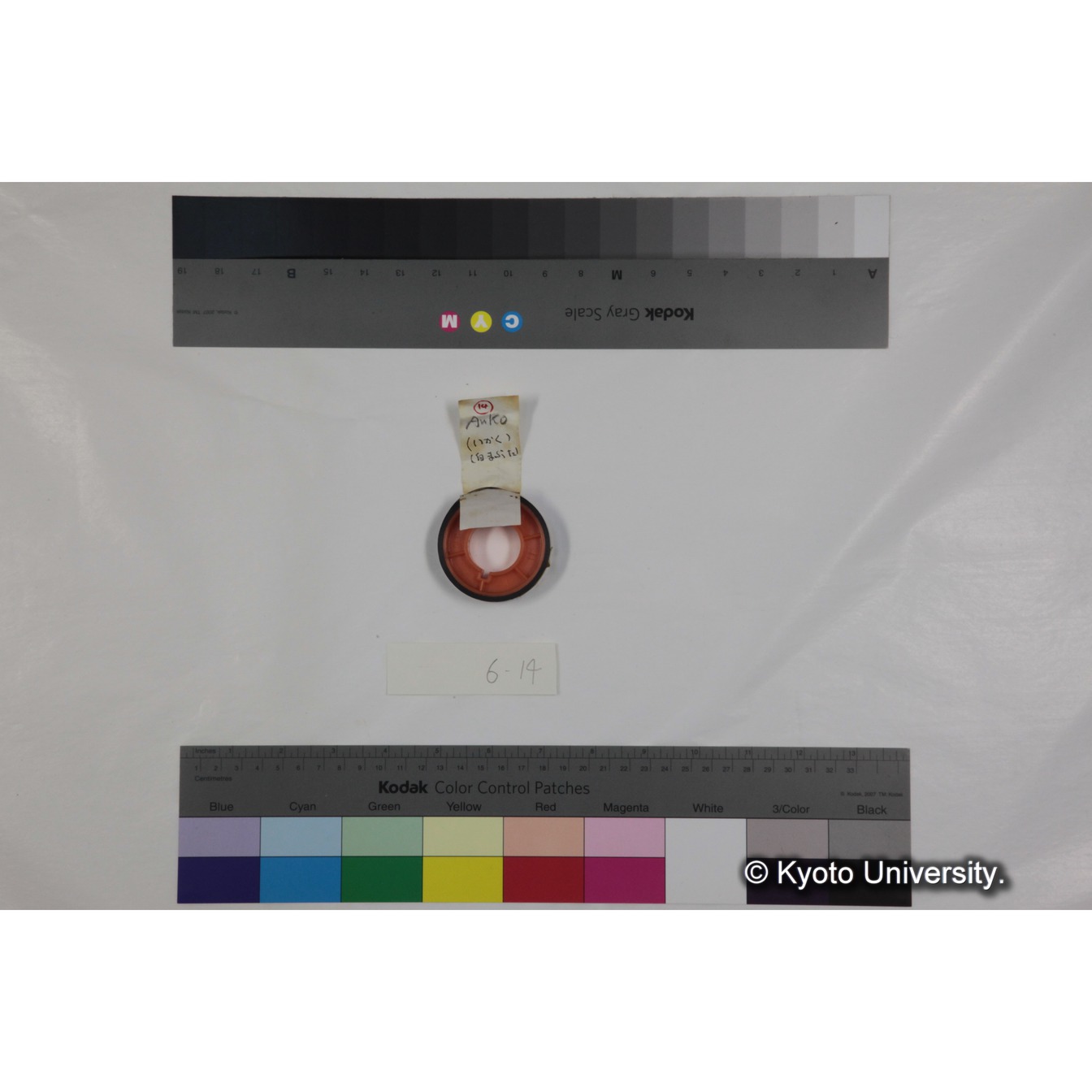 フッテージ１４「Auko (いかく)（白まぶた）」 (3)