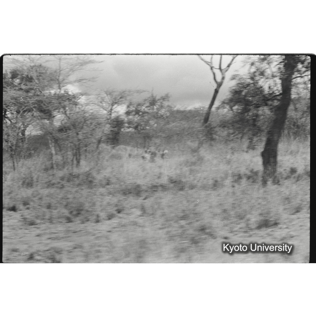 [21コマ目]「×」 (1)