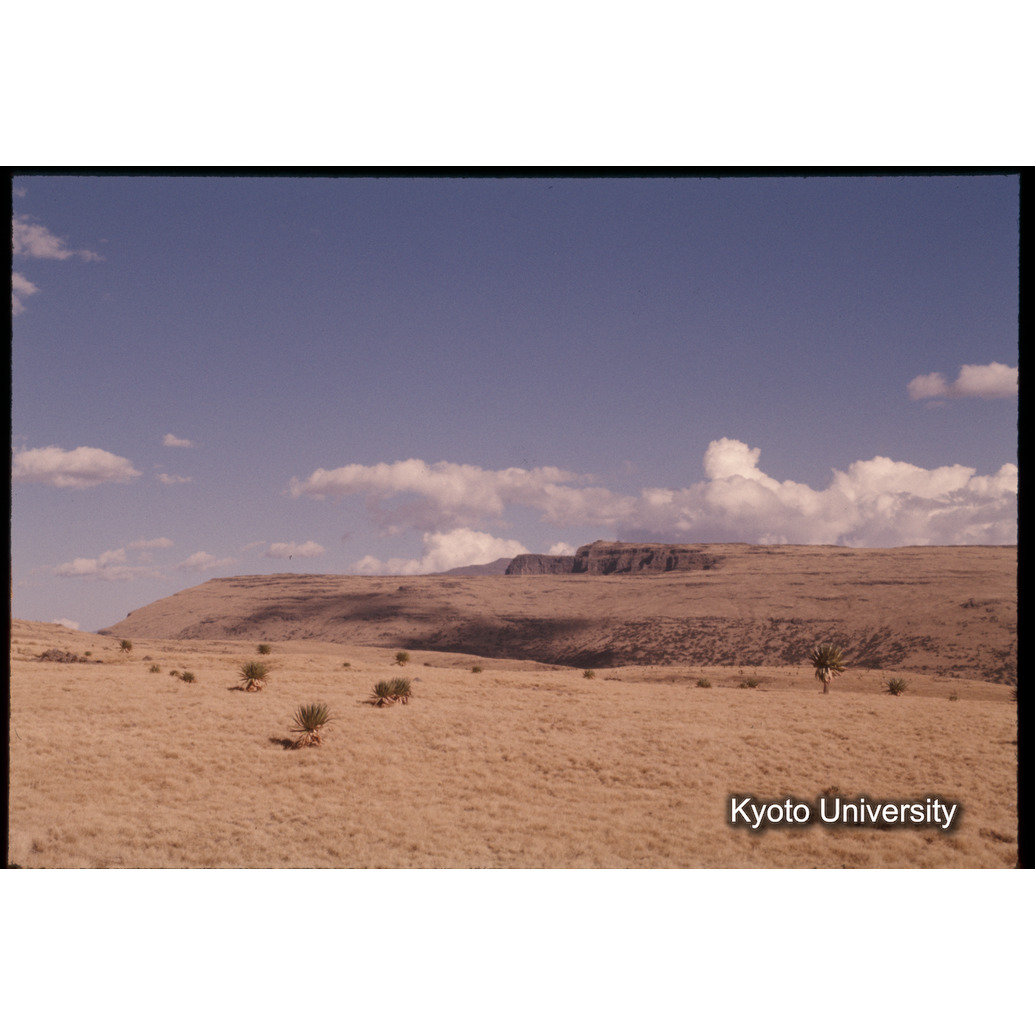 Sm　1973　1444 (1)