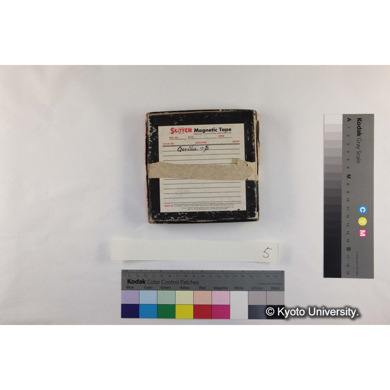 [ケース]5「Gorillaの声（マスター）」 (2)