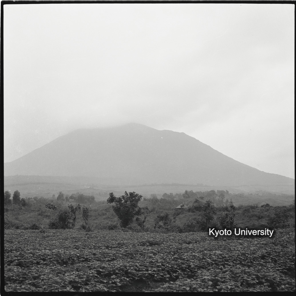 [1コマ目]「ムハブラ山」 (1)