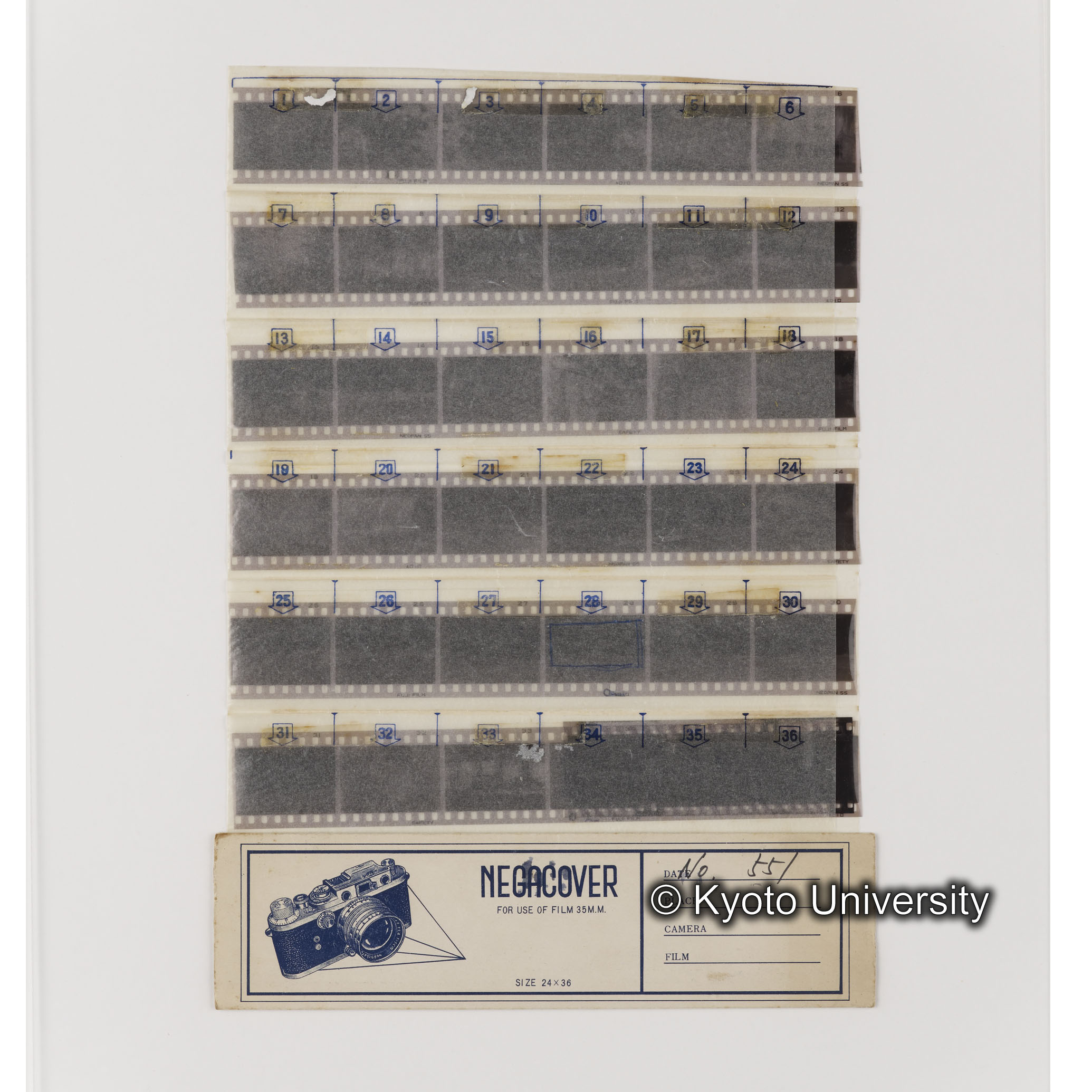 [ネガフィルムスリーブ21]「５５１」 (1)