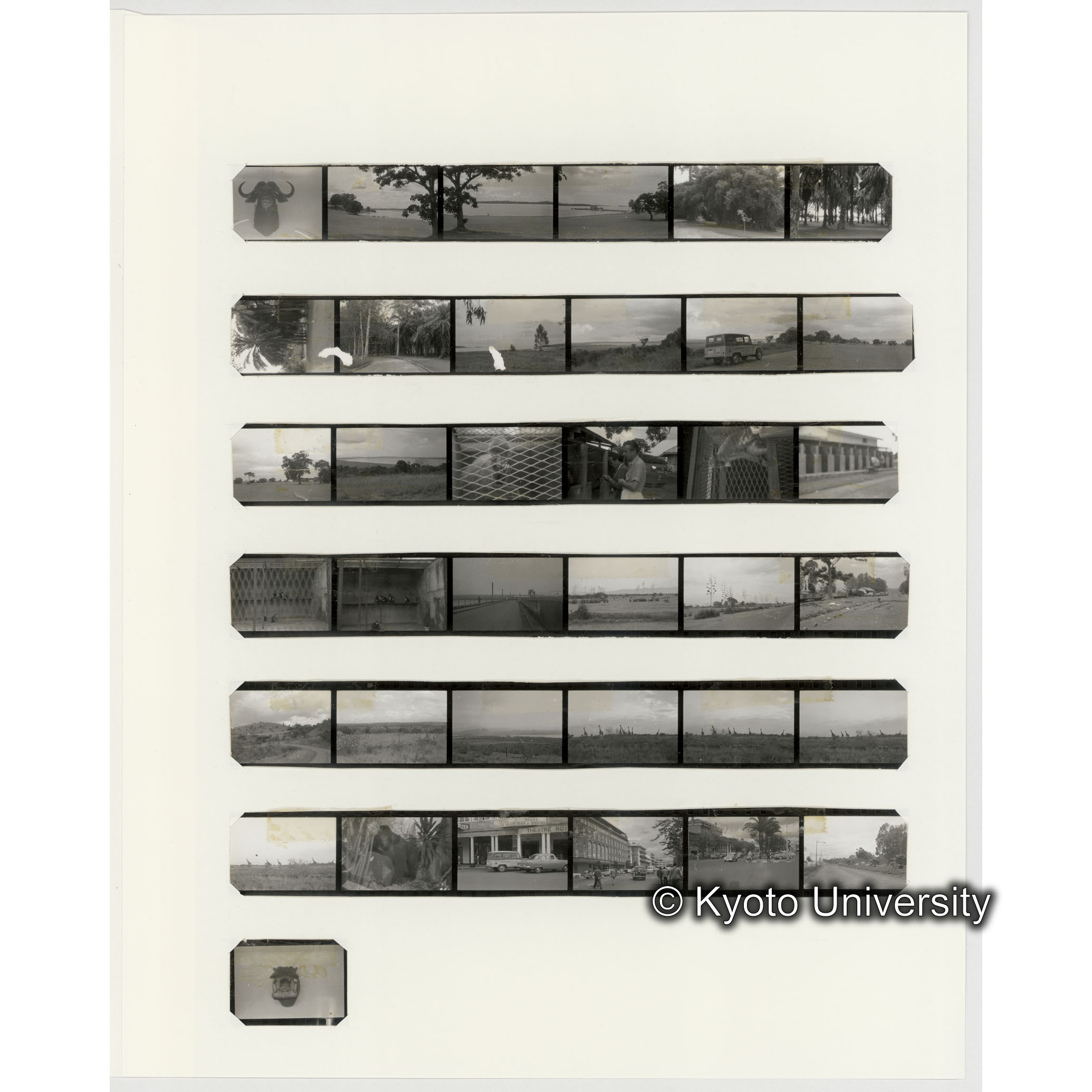 [ネガフィルムスリーブ21]「５５１」 (2)