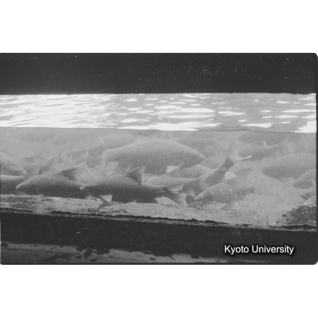 [25コマ目]「？」 (1)