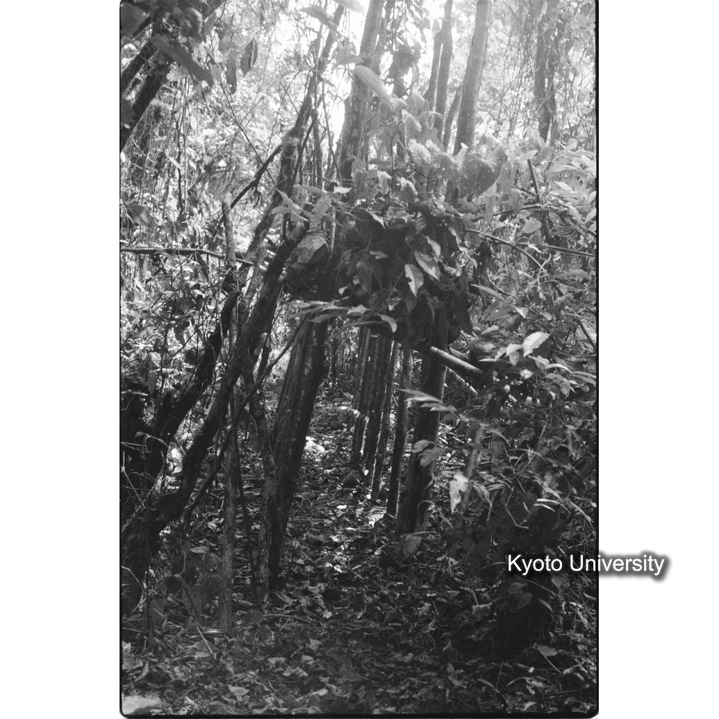 [7コマ目]「動物をとる罠」 (1)