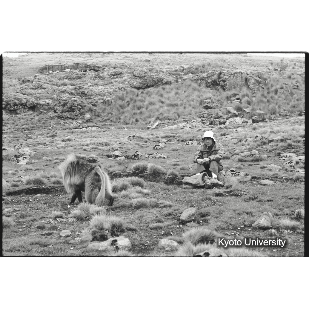 [２４コマ目]「観察中の森梅代」 (1)