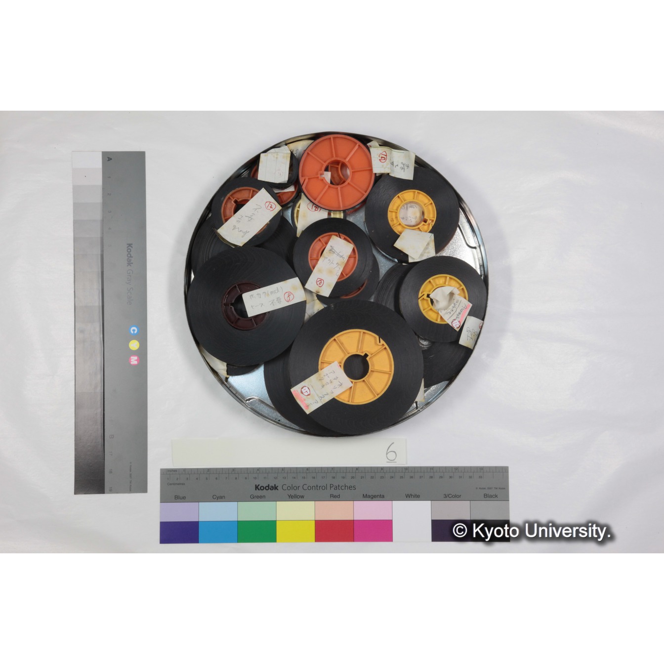 [ケース]6 「ゲラダヒヒ，セミエン/マントヒヒ，アワッシュ，ハイブリッド発見　(1973～74)素材」 (2)