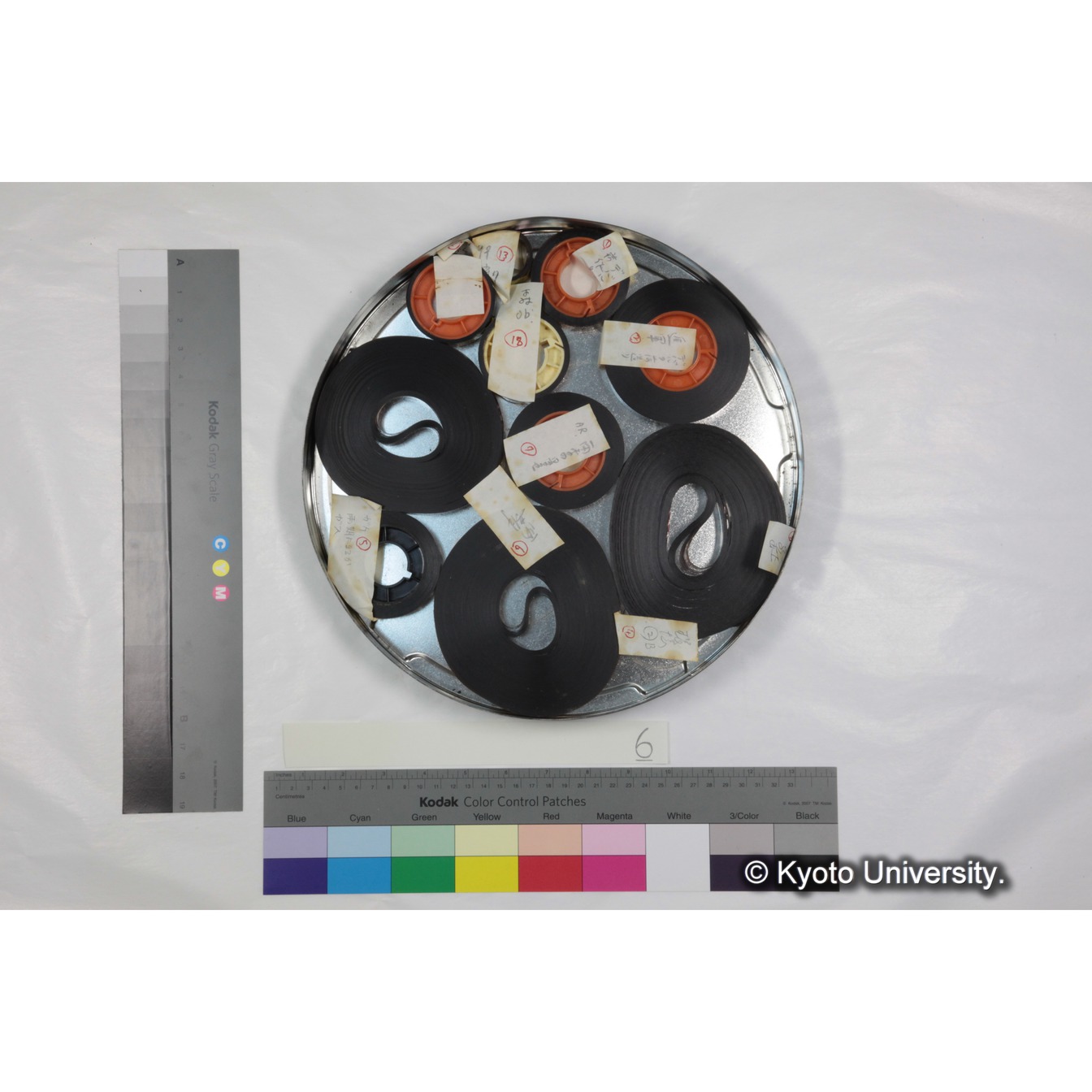 [ケース]6 「ゲラダヒヒ，セミエン/マントヒヒ，アワッシュ，ハイブリッド発見　(1973～74)素材」 (3)